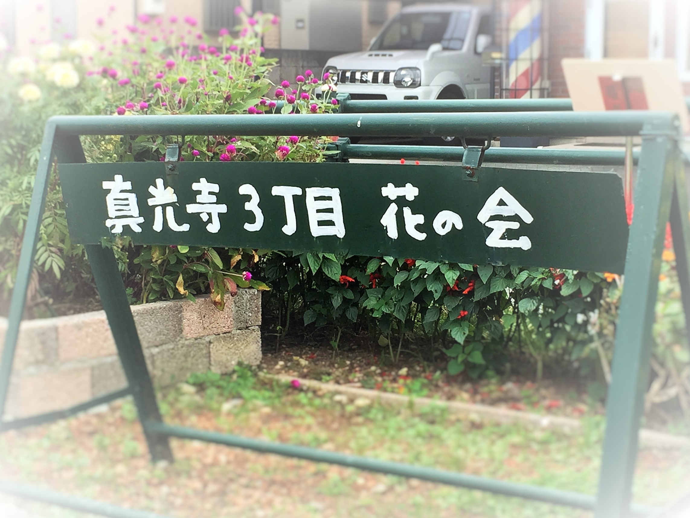 会館広場を彩る花壇