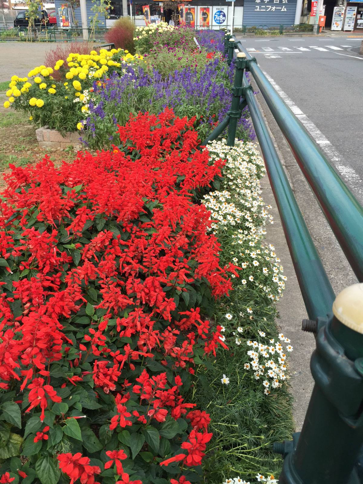 2014年度秋の花壇コンクール優秀賞の記録